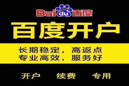 百度推广代理：从零到一的营销增长之路